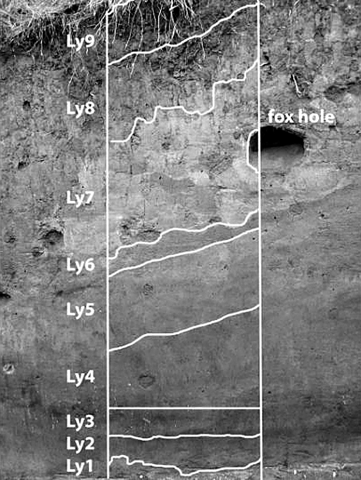 Fig. 2 – The (archaeo)stratigraphy of the excavated profile of the Lyukas-mound kurgan (photo A. Barczi).