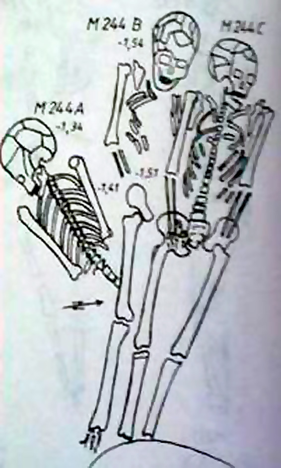 Fig. 1 – A grave (M244) from Cernica with three skeletons.