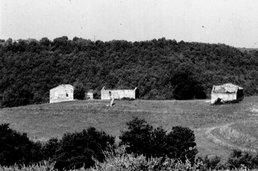 Fig. 2 – Veduta panoramica del rilievo di Colle Rosetta, luogo del rinvenimento delle ceramiche.