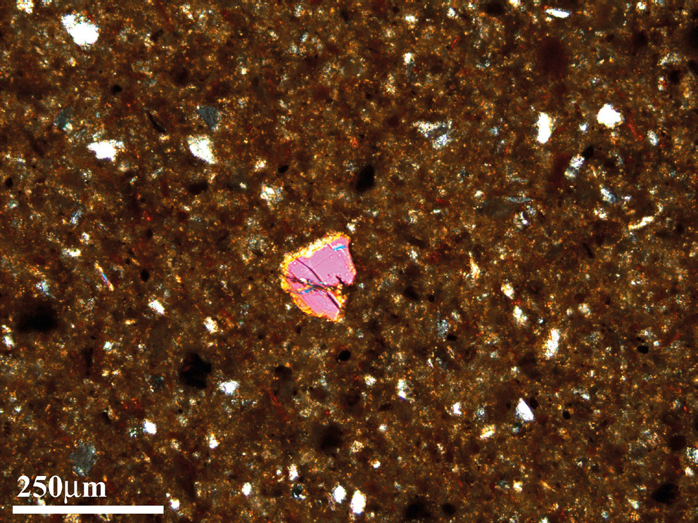 Fig. 7 – Composizione mineralogica della pasta ceramica del campione n. 207 analizzato al microscopio a luce polarizzata.