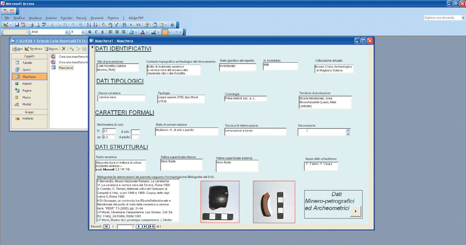 Fig. 8 – Maschera n. 1 relativa ai dati identificativi ed archeologico-formali del campione n. 259.