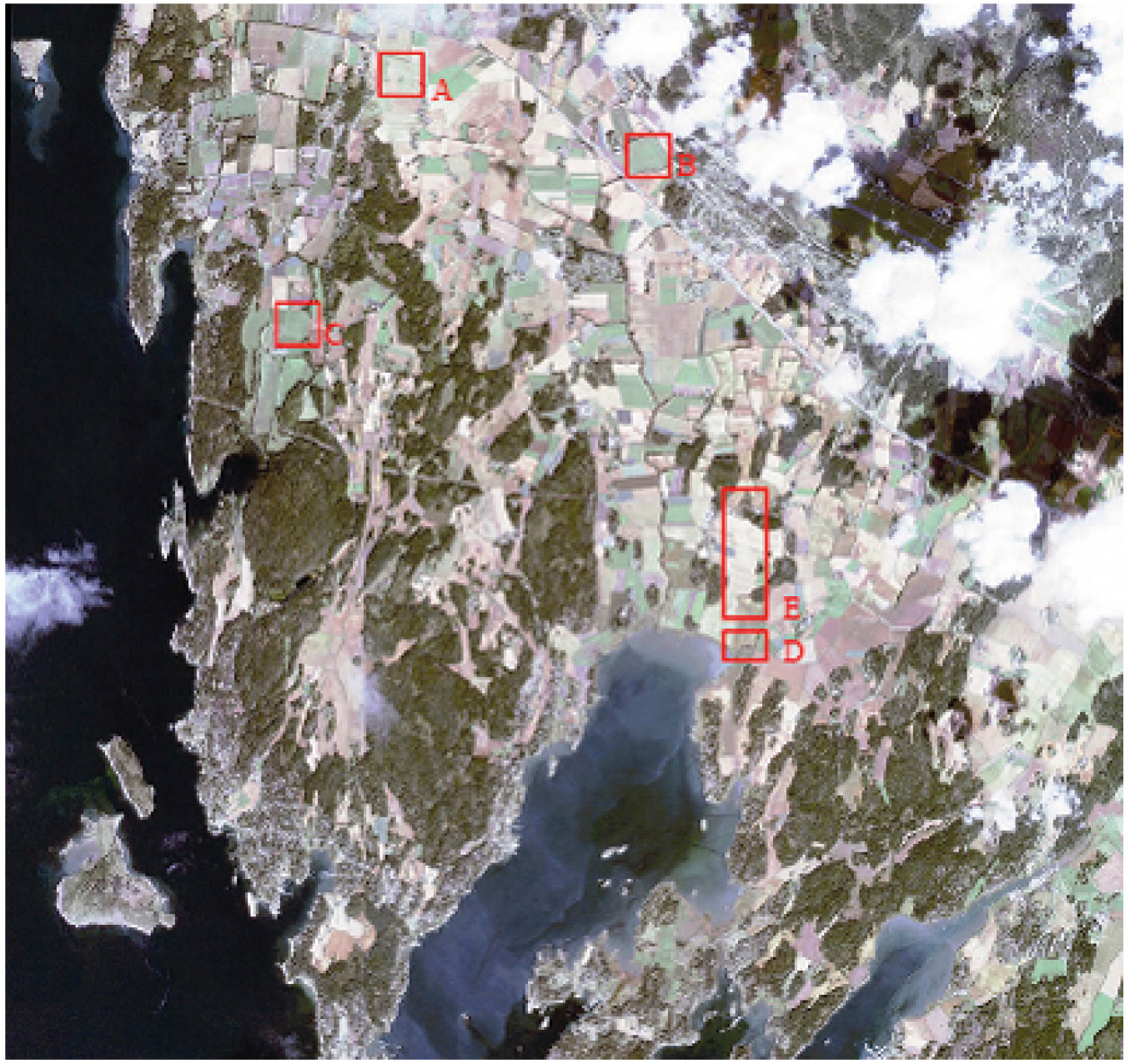 Fig. 10 – Localization of the areas characterized by anomalies.