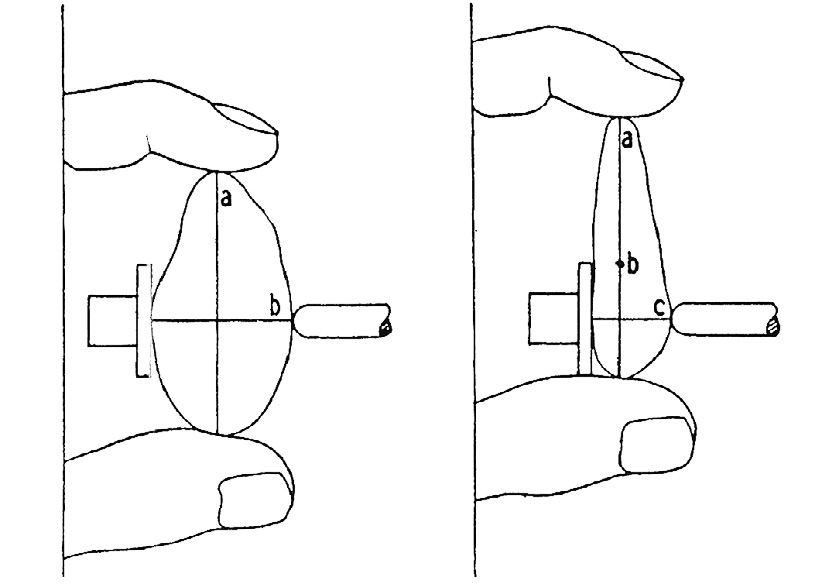 Fig. 3 – Rappresentazione schematica di due clasti con identico asse a ed opposto asse b.