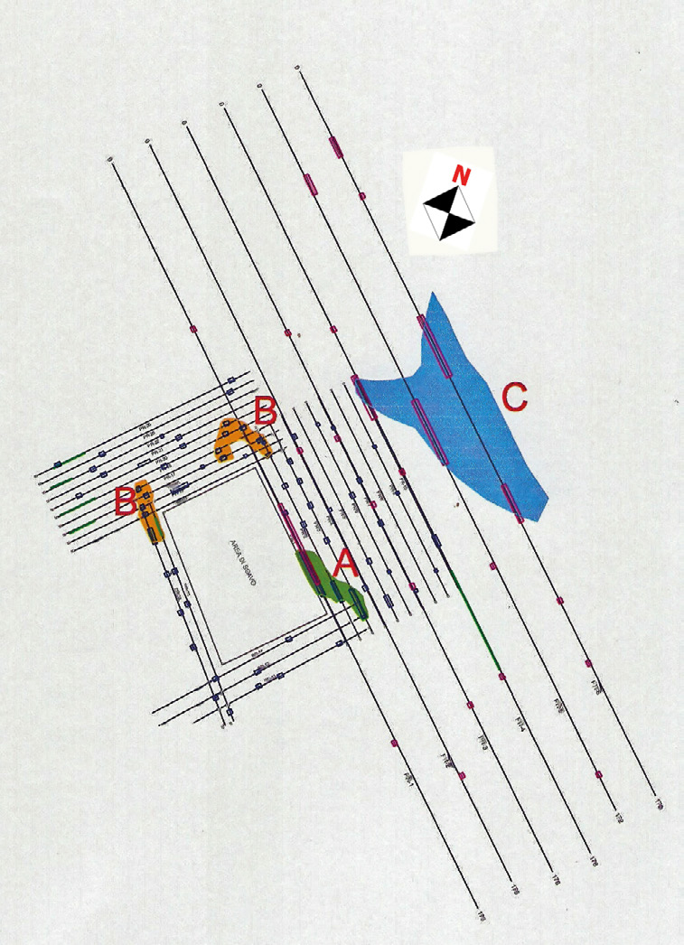 Fig. 3 – Profili delle prospezioni georadar con anomalie evidenziate (da Censini 2006).