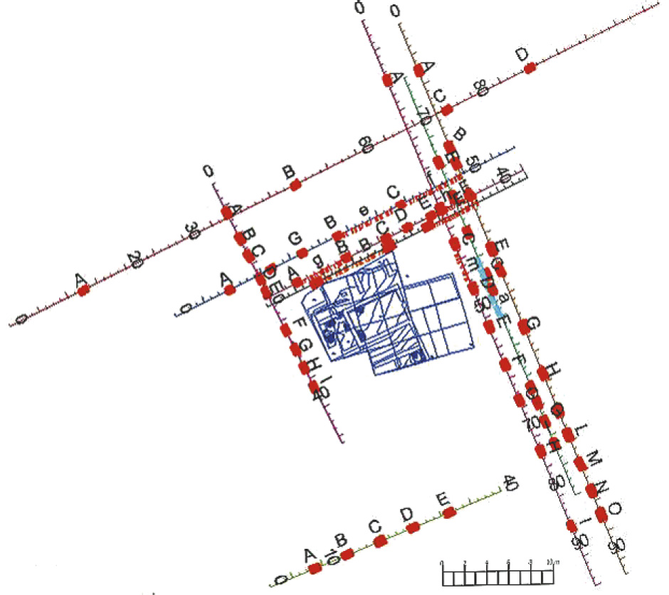 Fig. 4 – Planimetria dello scavo (2007) attorno a cui si pongono gli stendimenti geoelettrici con le relative evidenze (da Ricciardi 2006).