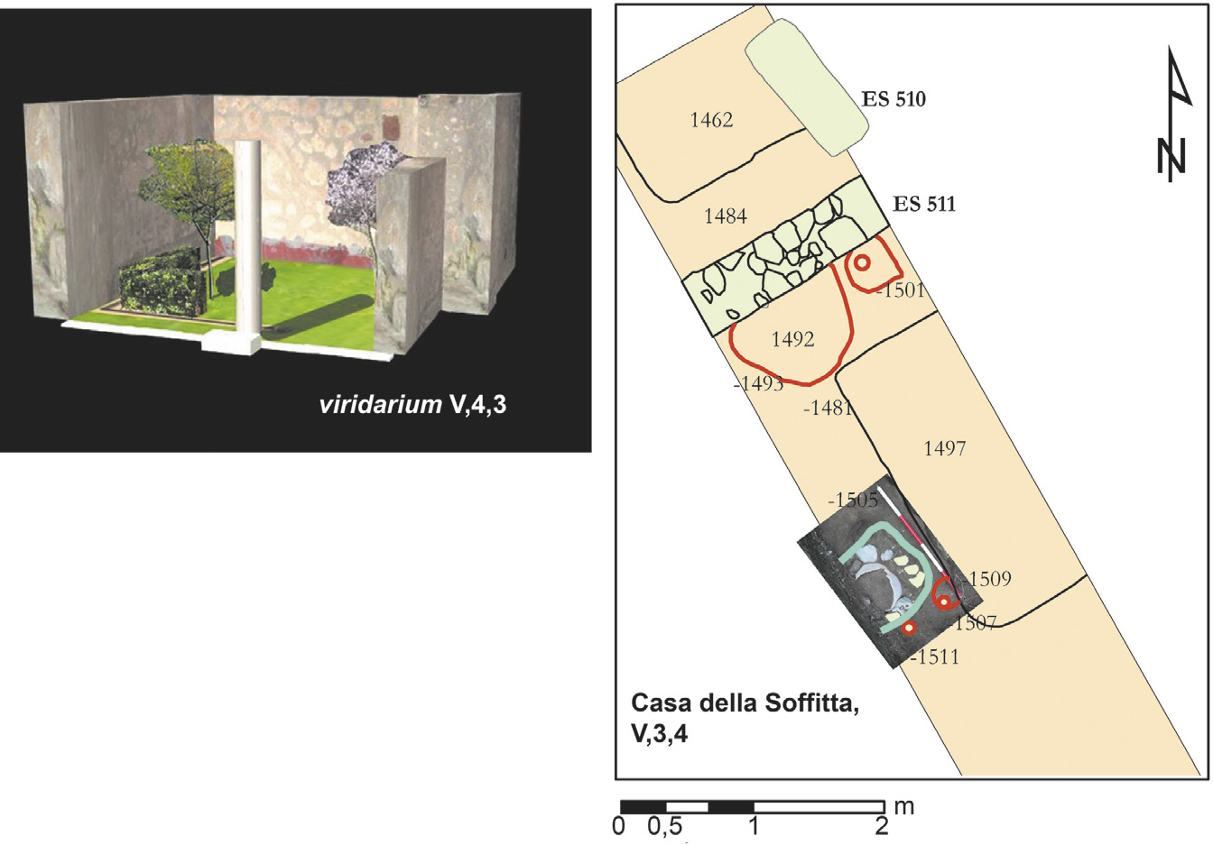 Fig. 9 – Analisi e rappresentazione dei viridaria negli edifici V,3,4 (casa della Soffitta) e V,4,3.