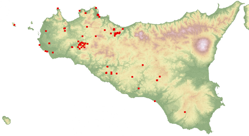 Fig. 3 – Il risultato di una query eseguita con il sistema GIS: carta di distribuzione (XI-XII sec.) della classe ceramica dipinta a bande in rosso prodotta nella Sicilia occidentale.