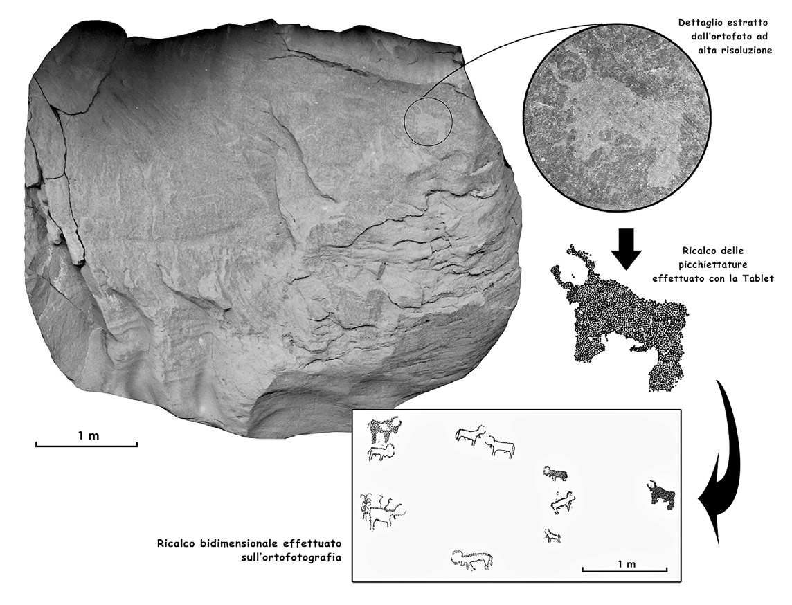 Fig. 13 – Esempio di ricalco digitale effettuato su ortofotografia (KASS1, Location 7, Pannello 1).