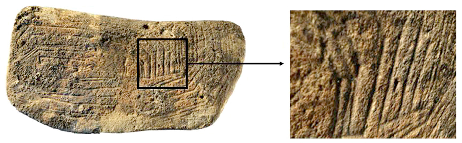 Fig. 6 – Modello 3D di una pietra incisa e particolare delle incisioni (Grotta del Cavallo).