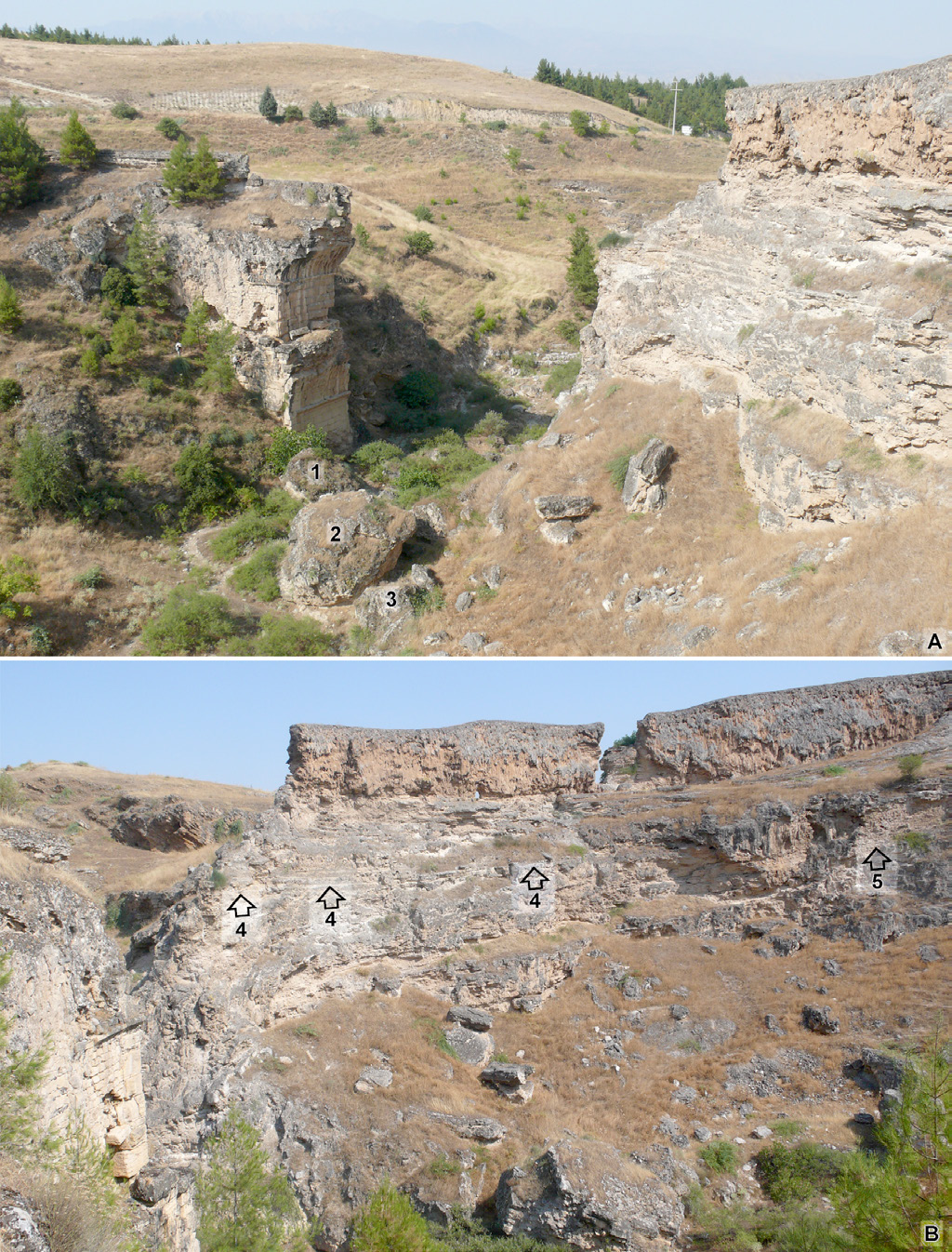 Fig. 4 – I resti del Ponte Sud visti da NE (A) e SE (B): 1-3, porzioni delle arcate e della spalla N crollati nell’alveo del corso d’acqua; 4, tratti del lastricato stradale a monte del ponte inglobati nel calcare; 5, muro di sostruzione della strada.