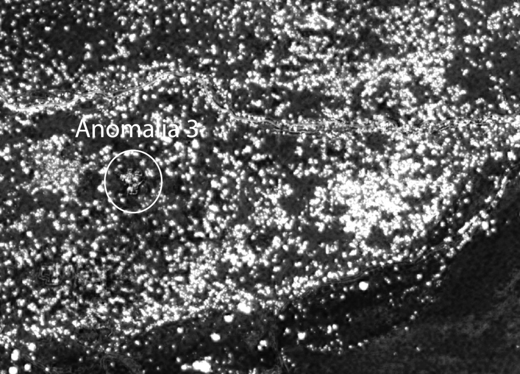 Fig. 8 – Particolare della mappa NDVI in cui risultano particolarmente distinguibili alcuni elementi murari (Anomalia 3), in particolare quelli relativi alle strutture scavate da F. Anfray.