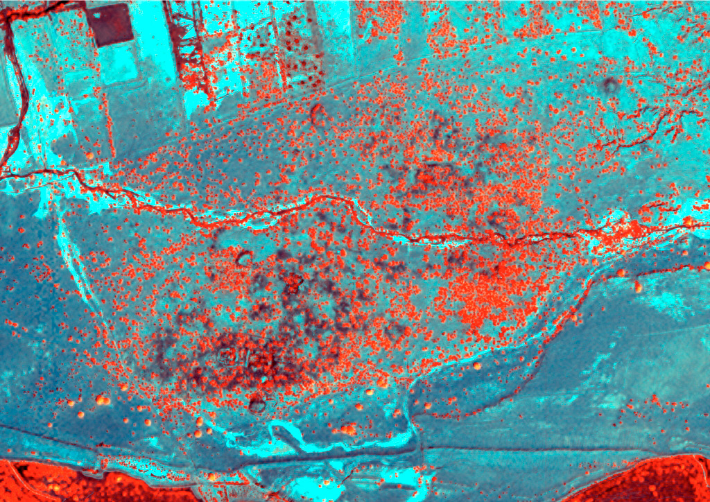 Fig. 9 – Immagine ottenuta dall’assemblaggio dell’immagine pancromatica con la banda del vicino infrarosso e la mappa NDVI: risalta la differenza tra la vegetazione e le Anomalie 2 e 3.