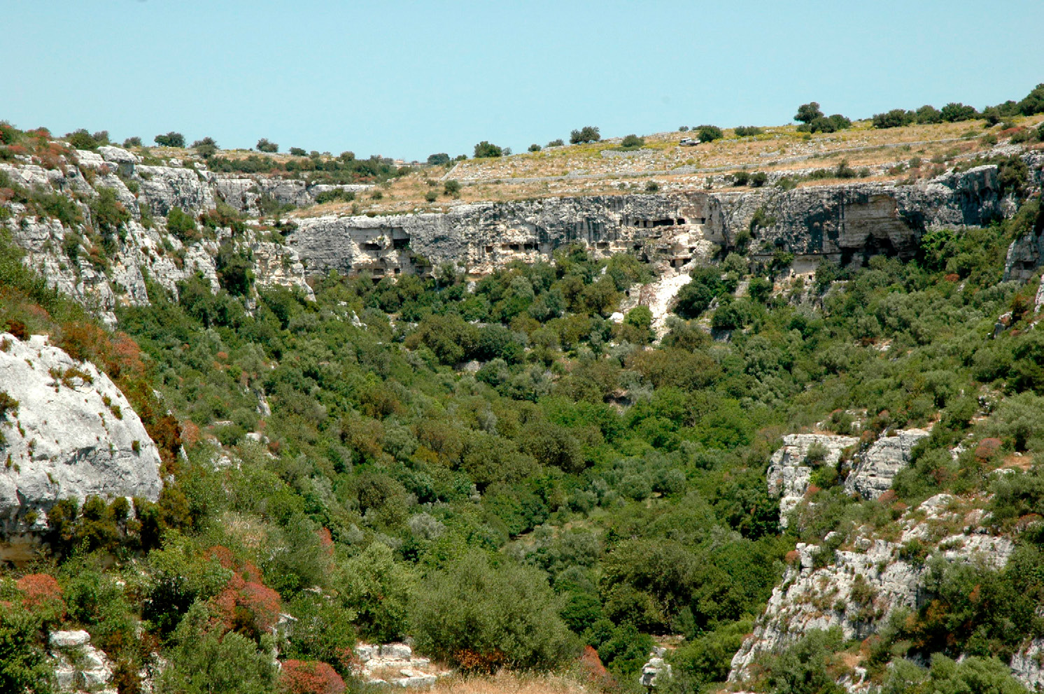 Fig. 2 – Cava d’Ispica da Calicantone: veduta generale (foto S. Balistri).