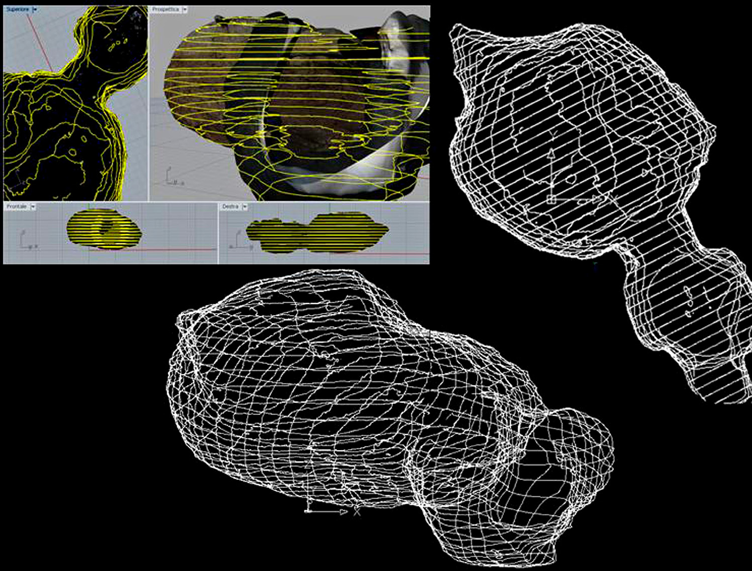 Fig. 5 – Calicantone, Tomba 69. Estrazione automatica di profili orizzontali e verticali (Rhinoceros). Esportazione profili verticali ed orizzontali in ambiente CAD, vista dall’alto e vista prospettica.