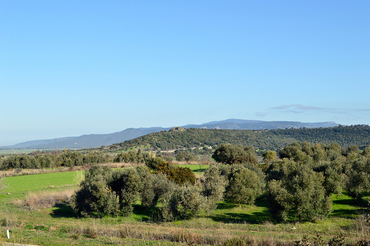 Fig. 5 – Sperone meridionale dell’altopiano di Sa Struvina, col nuraghe Cuccurada sulla sommità (da SE); sullo sfondo il Monte Arci (foto R. Cicilloni).