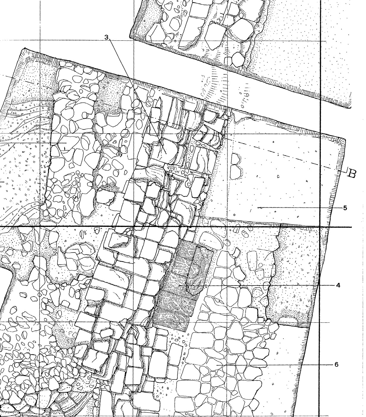 Fig. 3 – Pianta archeologica “classica”: pianta parziale di Lavinium (Giuliani 1983).