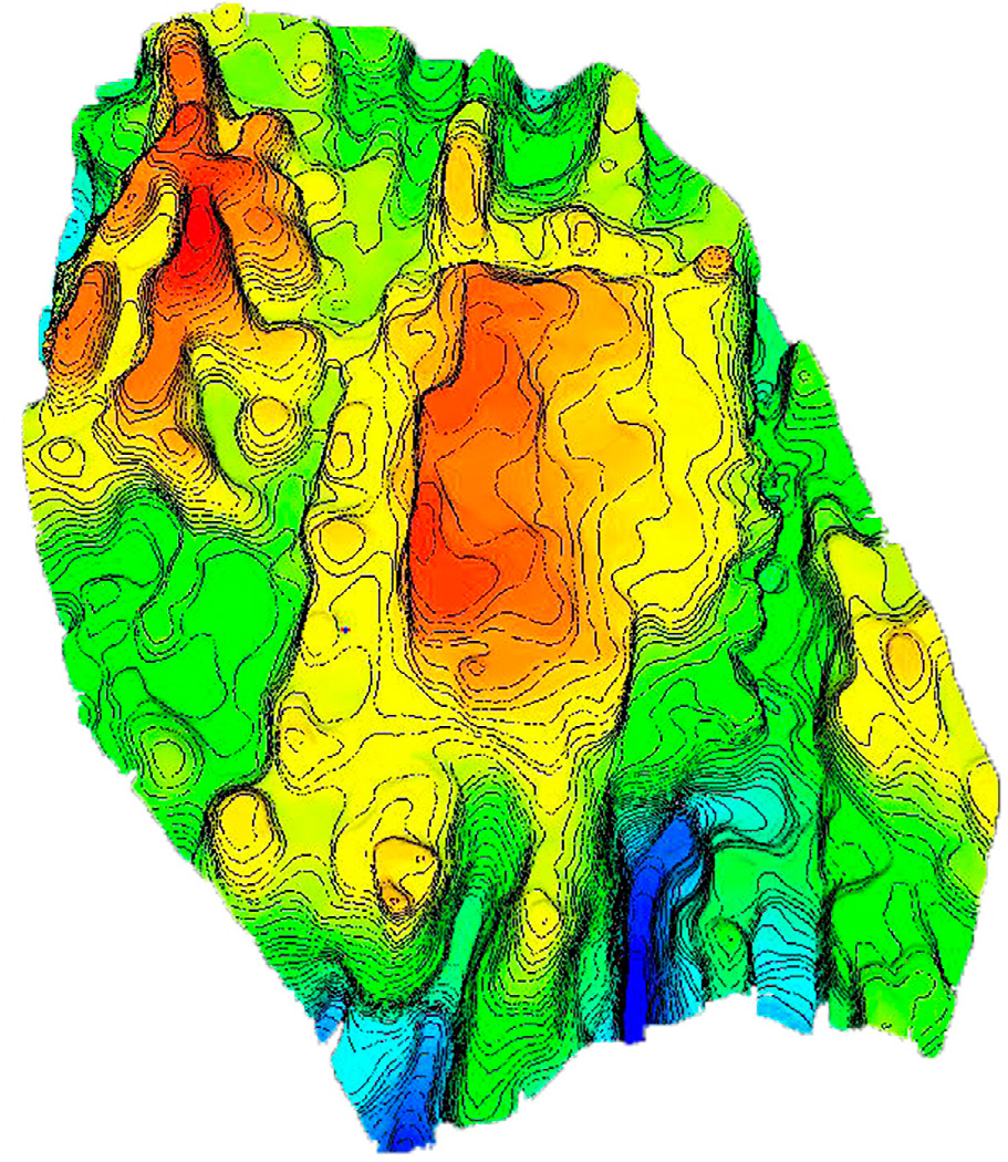 Fig. 10 – Elaborazione delle curve di livello su meshing topografico. La nuvola di punti è stata resa uniforme attraverso l’uso del virtual scan e successivamente trasformata in mesh. Il risultato delle curve è più idoneo e privo di alterazioni dell’informazione.