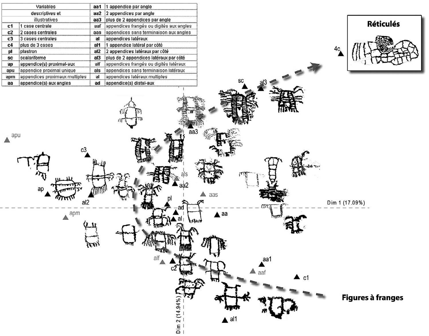 Fig. 6 – Analyse Factorielle des Correspondances (AFC) de 54 figures à franges avec la flèche du temps montrant leur évolution probable des formes les plus simples vers les réticulés et exemples de gravures, ?: variables; ?: variables illustratives (relevés: Laboratoire départemental de Préhistoire du Lazaret).