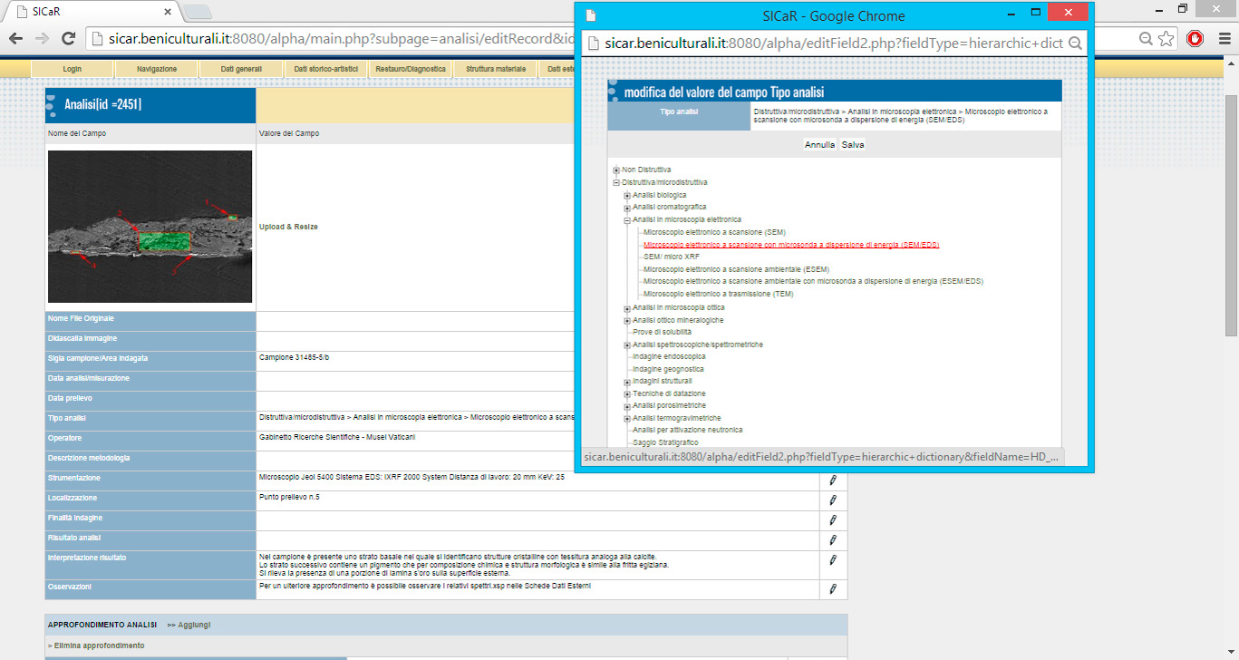 Tab. 3 – Screenshot della “Scheda Analisi” dopo le modifiche. La finestra in primo piano permette di scegliere il tipo di “Analisi Non Distruttiva o Microdistruttiva” da inserire; essa è ora correttamente strutturata ad albero in classi-sottoclassi di appartenenza e col nome visualizzato per esteso e abbreviazione corrente fra parentesi.