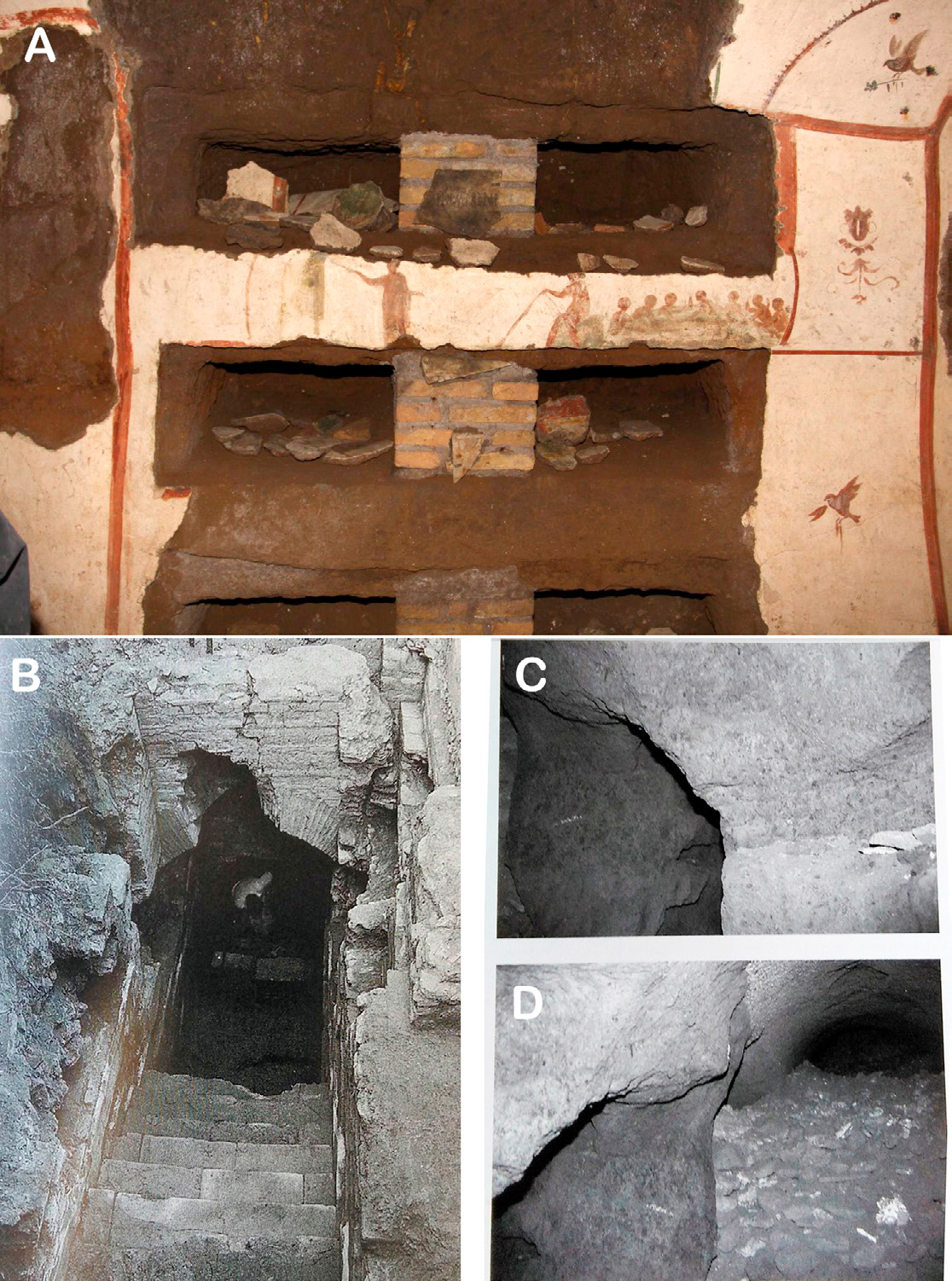 Fig. 4 – A) interno di una delle gallerie catacombali di San Callisto; B) uno degli ingressi delle catacombe di San Callisto, la scala S dell’“Area 1” (Spera 1999, 361); C-D) particolari dei cunicoli ipogei della catacomba di Marco e Marcelliano (Spera 1999, 95).