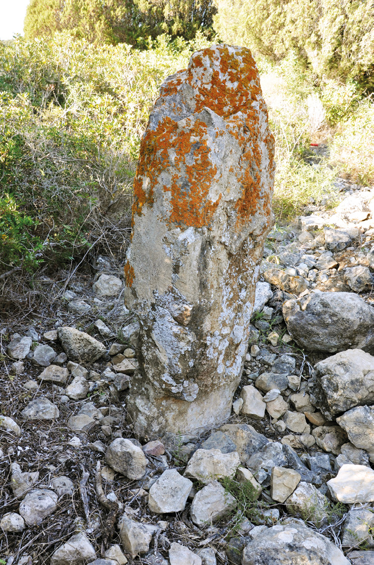 Fig. 3 – Il menhir Sa Perda Fitta (foto A. Velli).