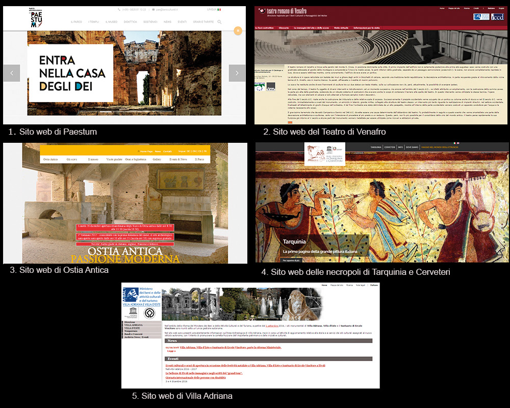 Fig. 2 – La Home Page dei siti web esaminati.