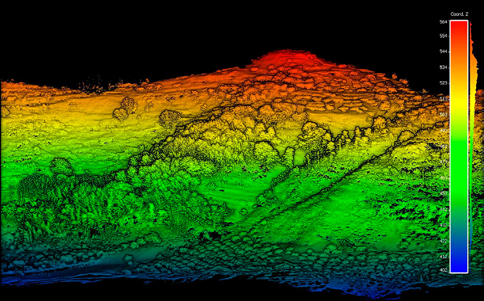 Fig. 2 – 3D visualization of the LiDAR point cloud clearly showing the vegetation (trees) above the ground surface. Graphics: S. Esposito.