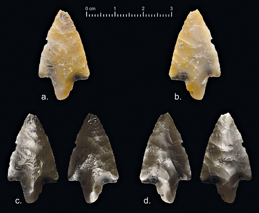 Fig. 7 – Confronto tra foto e immagine RTI. Punta di freccia in selce, fasi iniziali della media età del Bronzo, abitato di via Ordiere, Solarolo (RA): a) foto della faccia dorsale; b) foto della faccia ventrale; c) due immagini RTI della faccia dorsale; d) due immagini RTI della faccia ventrale.