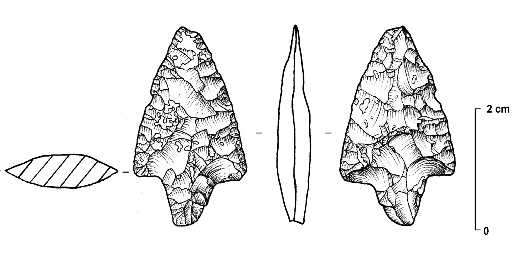 Fig. 9 – Disegno archeologico realizzato con il supporto della tecnica RTI. Punta di freccia in selce, fasi iniziali della media età del Bronzo, abitato di via Ordiere, Solarolo (RA). Disegno a cura di Maria Pia Maiorano.