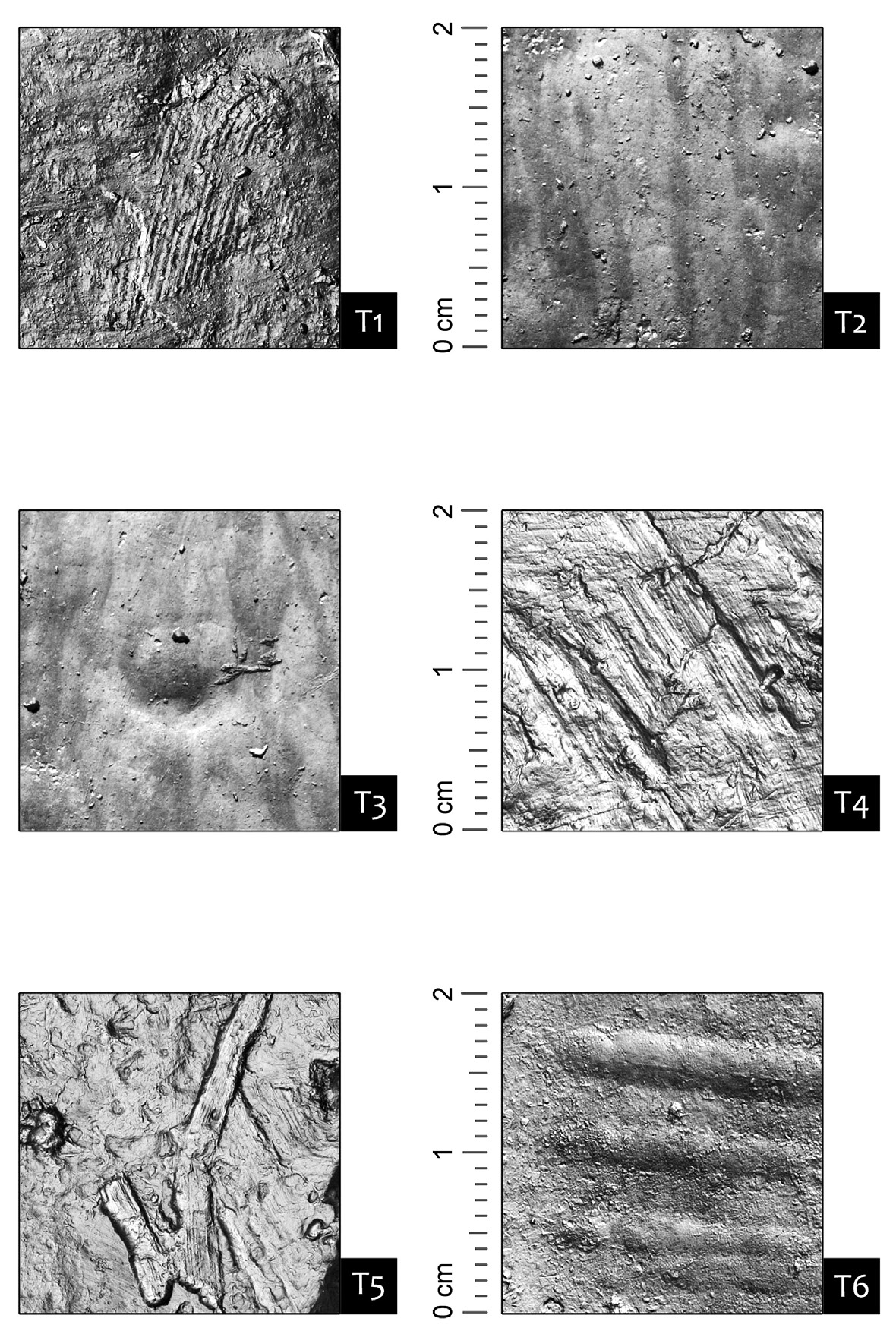 Fig. 10 – Alcune tracce del repertorio: T1. rifinitura a polpastrello; T2. lucidatura per mezzo di uno strumento duro dalla superficie liscia (fasce più chiare); T3. probabile errore di lavorazione durante la fase di lisciatura (area circolare); T4. lisciatura per mezzo di uno strumento duro dalla superficie irregolare; T5. trascinamento di incluso durante la fase di lisciatura; T6. decorazione a solcature per mezzo di uno strumento duro dalla superficie liscia. Materiale ceramico della media età del Bronzo (XVI e XIV secolo a.C.), proveniente dall’abitato di via Ordiere, Solarolo (RA). Riconoscimento e analisi delle tracce a cura di Andrea La Torre.