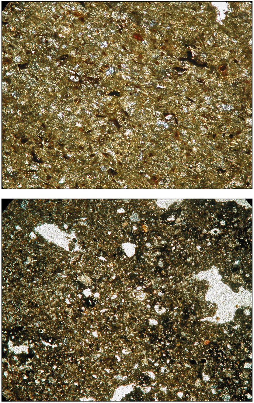 Fig. 11 – a) Immagine al microscopio a luce polarizzata (Cot. 88166) 40X (N+); b) Immagine al microscopio a luce polarizzata (Cot. 88380) 40X (N+).