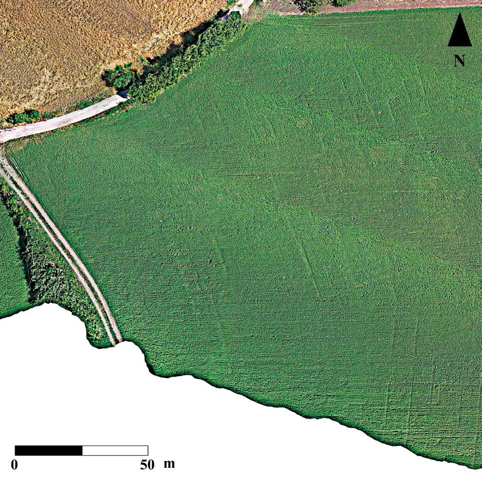 Fig. 9 – Post-elaborazione, con sharpening, delle immagini da drone. Le tracce da microrilievo mostrano i due isolati posti subito dopo l’ingresso da Porta Volturno, con la loro articolazione interna e l’orientamento che segue l’andamento della linea delle mura.