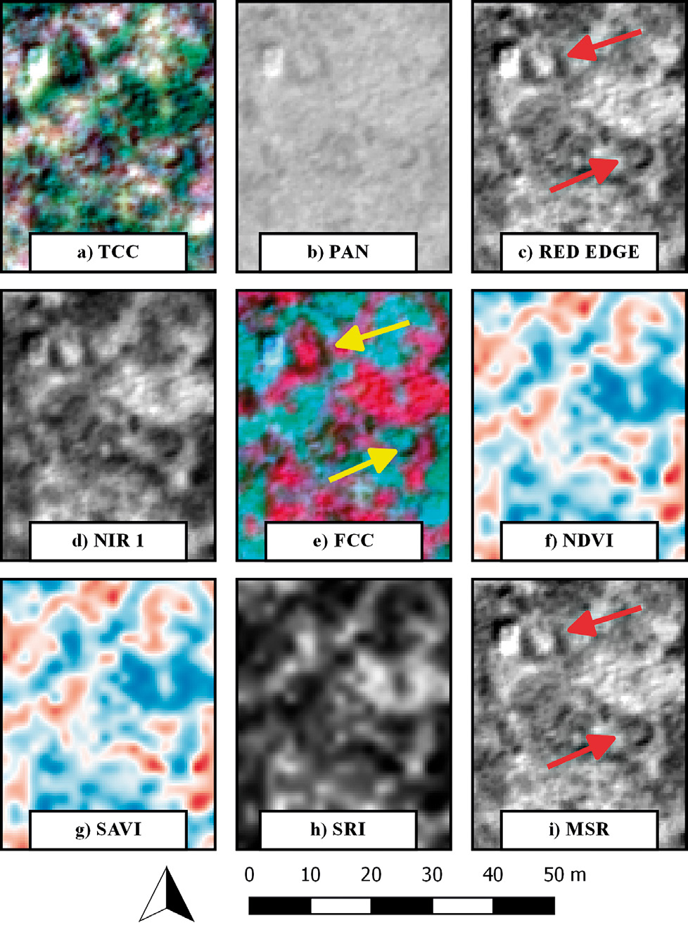 Fig. 6 – Buildings 5-6, contrada Edera, seen from the channels of the WV-2 and through the calculated indices: a) TCC; b) PAN; c) Red Edge; d) NIR 1; e) FCC; f) NDVI; g) SAVI; h) SRI; i) MSR.