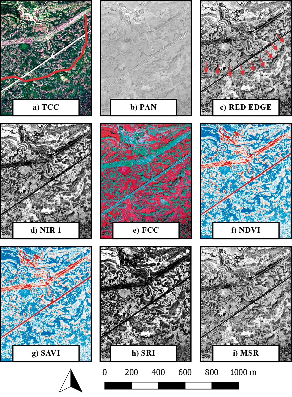 Fig. 9 – Wall-structure, in Santa Venera district, seen from the channels of the WV-2 and through the calculated indices: a) TCC; b) PAN; c) Red Edge; d) NIR 1; e) FCC; f) NDVI; g) SAVI; h) SRI; i) MSR.