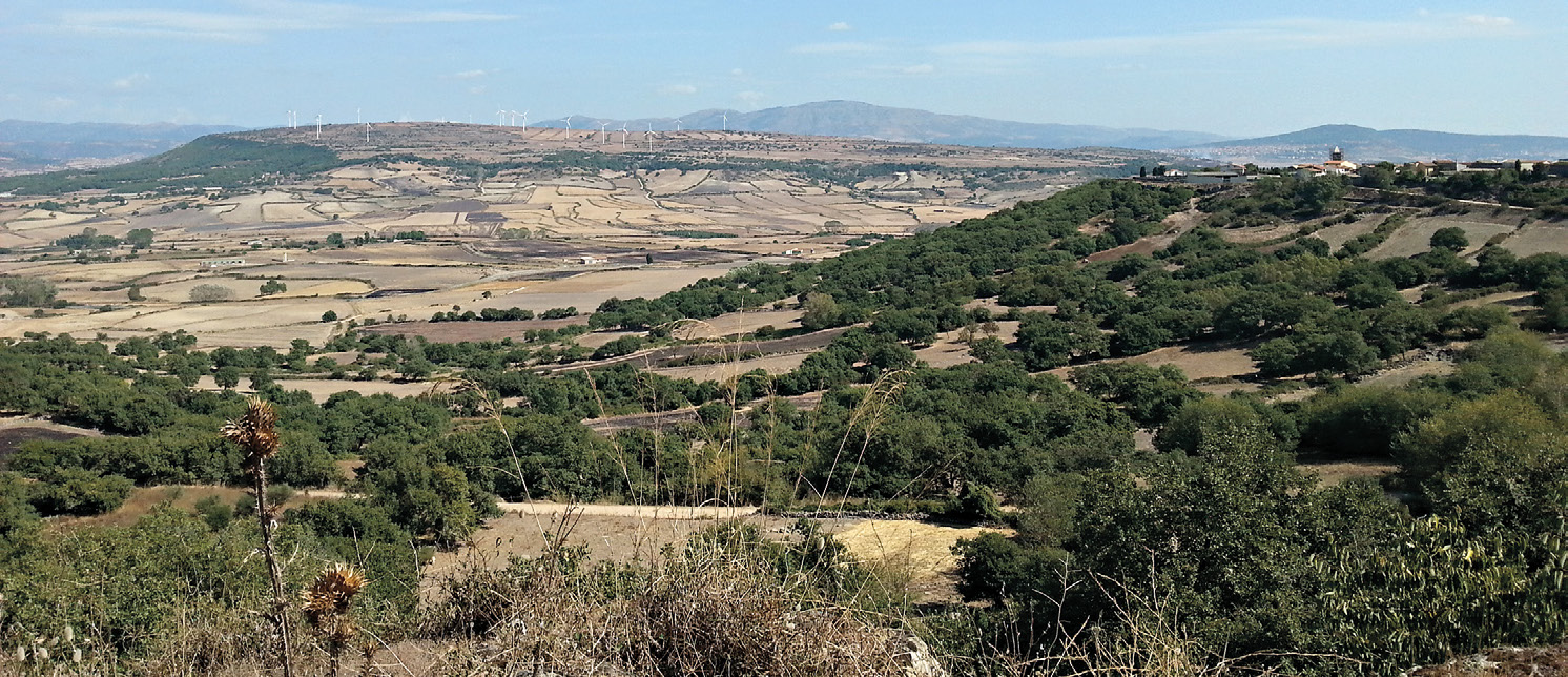 Fig. 1 – Veduta del territorio di Serri, da O: la conca miocenica, l’altopiano di Guzzini (sullo sfondo), la zona occidentale dell’altopiano (“giara”) di Serri (sulla destra) (foto F. Porcedda).