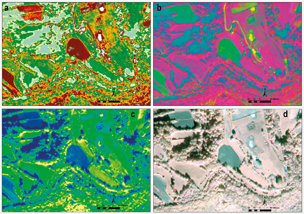 Fig. 8 – Area 1, multispectral image enhancements: a) NDVI; b) WV-VI; c) GNDVI; d) PCA of the 8 multispectral bands.