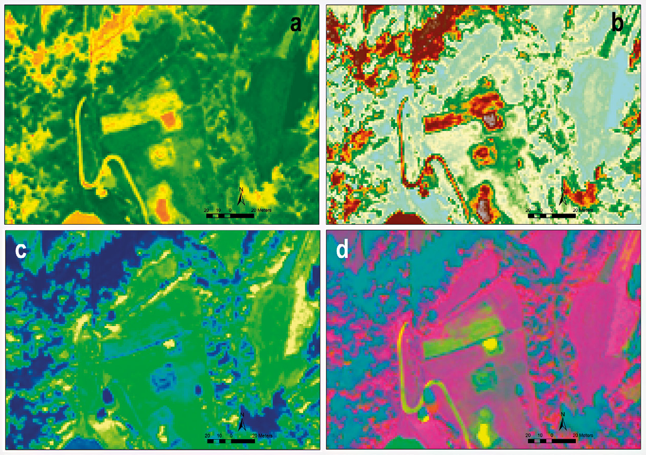 Fig. 9 – Area 2, multispectral image enhancements: a) IOR; b) PCA of the 8 multispectral bands; c) GNDVI; d) multispectral composite bands 7, 3, 2 (Brovey Pansharpening).