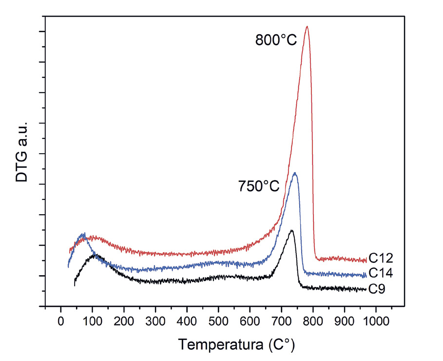 Fig. 5 – Termogravimetria DTG di campioni di bucchero.