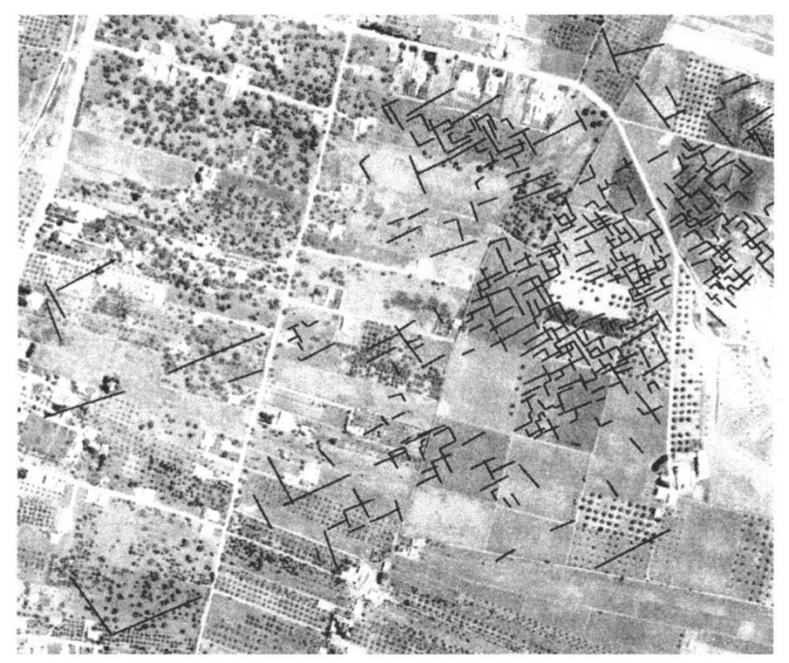 Fig. 11 – La collina orientale di Selinunte. Anomalie antropiche sepolte in un’immagine del 1990 ripresa da bassa quota a nord-ovest del tempio G. Interpretazione: P. Baggio - C. Zamboni (CNR Padova - L.A.TER. Torino).