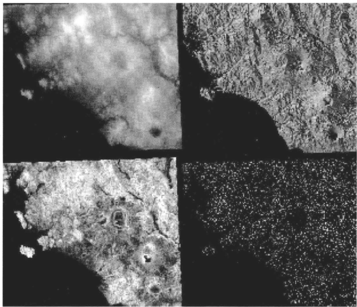 Fig. 1 - Quattro carte tematiche digitali ricavate dalla elaborazione del DEM: a = altimetria a livelli di grigio, b) esposizione, c) acclività, d) carta di deflusso delle acque meteoriche.