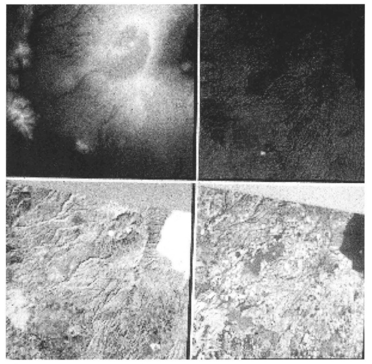 Fig. 2 - DEM (a) e immagini delle 3 Tasseled Cap Features derivate dai dati TM: b) Brightness, c) Wetness, d) Grenness.