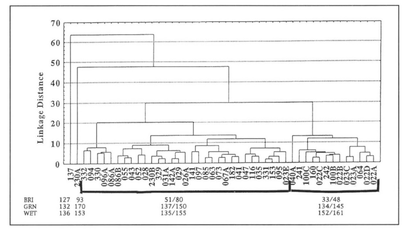 Fig. 4 - Diagramma tridimensionale che mostra la suddivisione in gruppi risultante dall’applicazione della cluster analisi alle 6 bande spettrali TM.