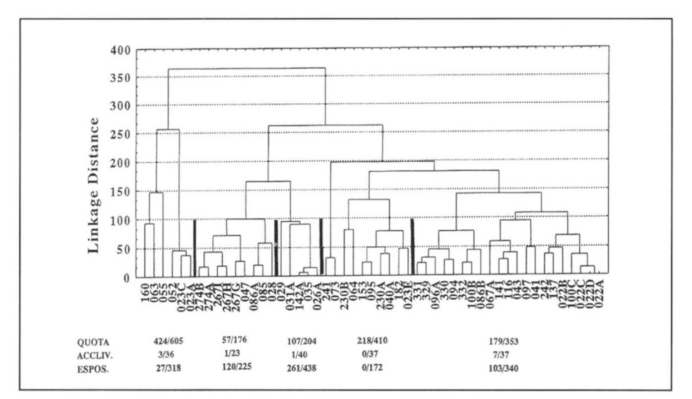 Fig. 6 - Dendrogramma che mostra la suddivisione in gruppi risultante dall’applicazione della cluster analisi ai 3 parametri morfometrici.