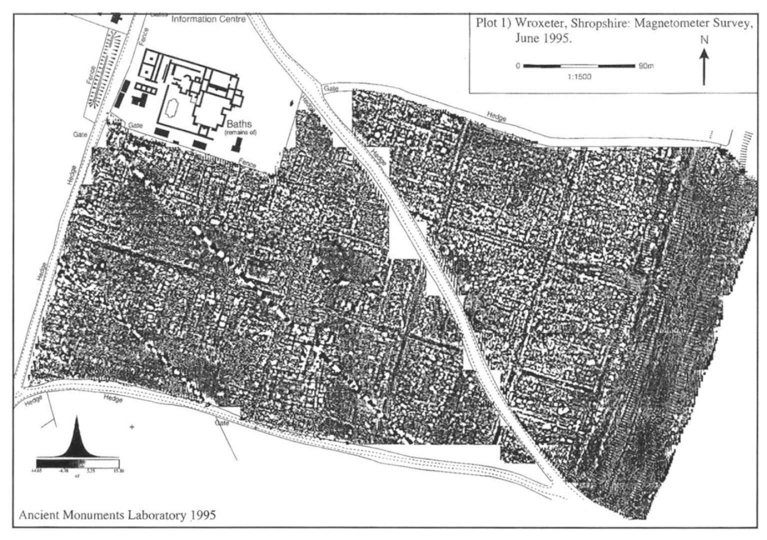 Fig. 6 – Magnetometer survey of insulae south of the baths by Ancient Monuments Laboratory.