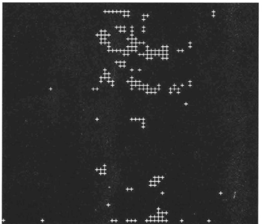 Fig. 3 — Features estratte da una immagine della sequenza del particolare architettonico.