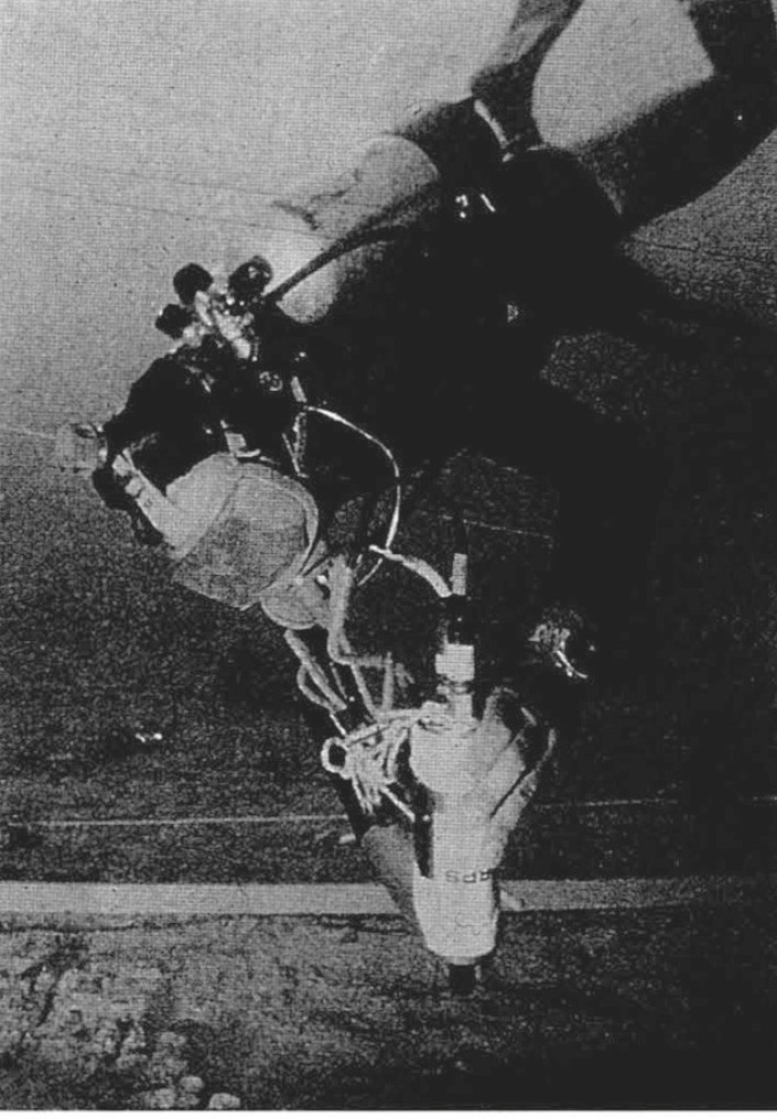 Fig. 5 – An example using an underwater theodolite (from Green 1990).