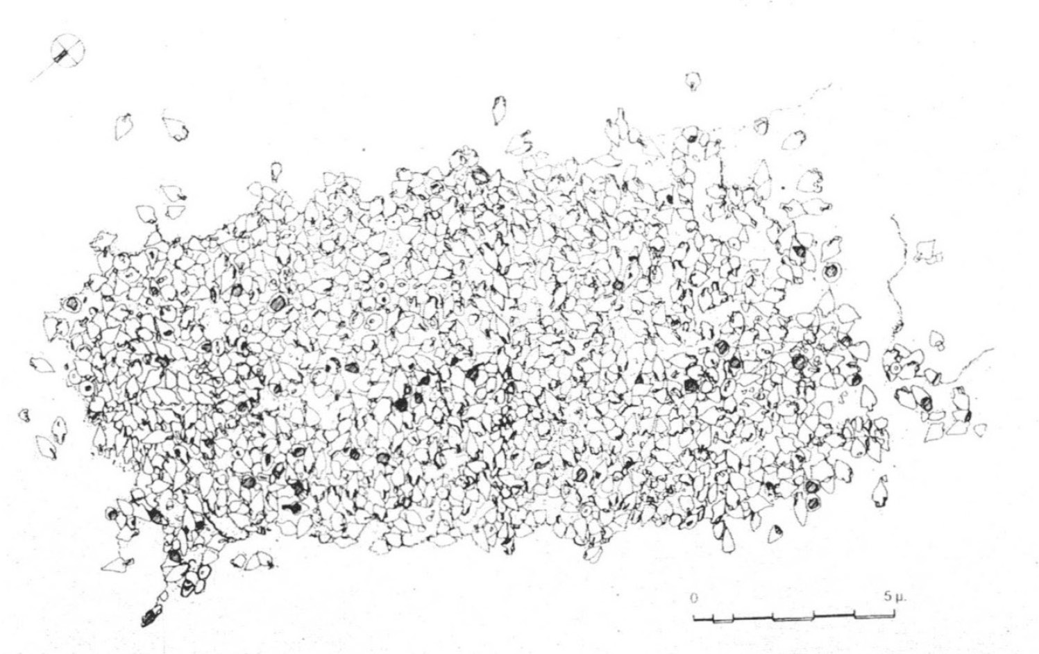 Fig. 8 – Graphical rapresentation of the “Alonisos” shipwreck, using a simple rectification program and aphotogrammetric station.Fig. 1