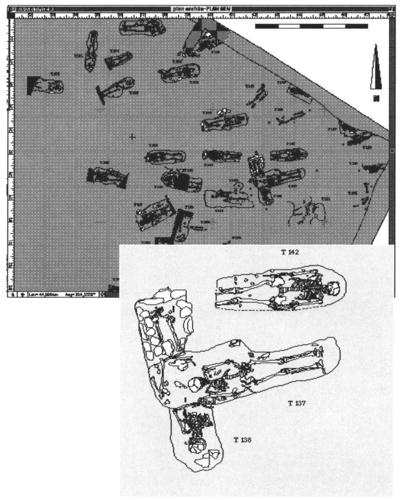 Fig. 4 – Le dessin de chaque sépulture est ensuite automatiquement placé dans le plan général (Archéotech SA – Archéodunum SA).