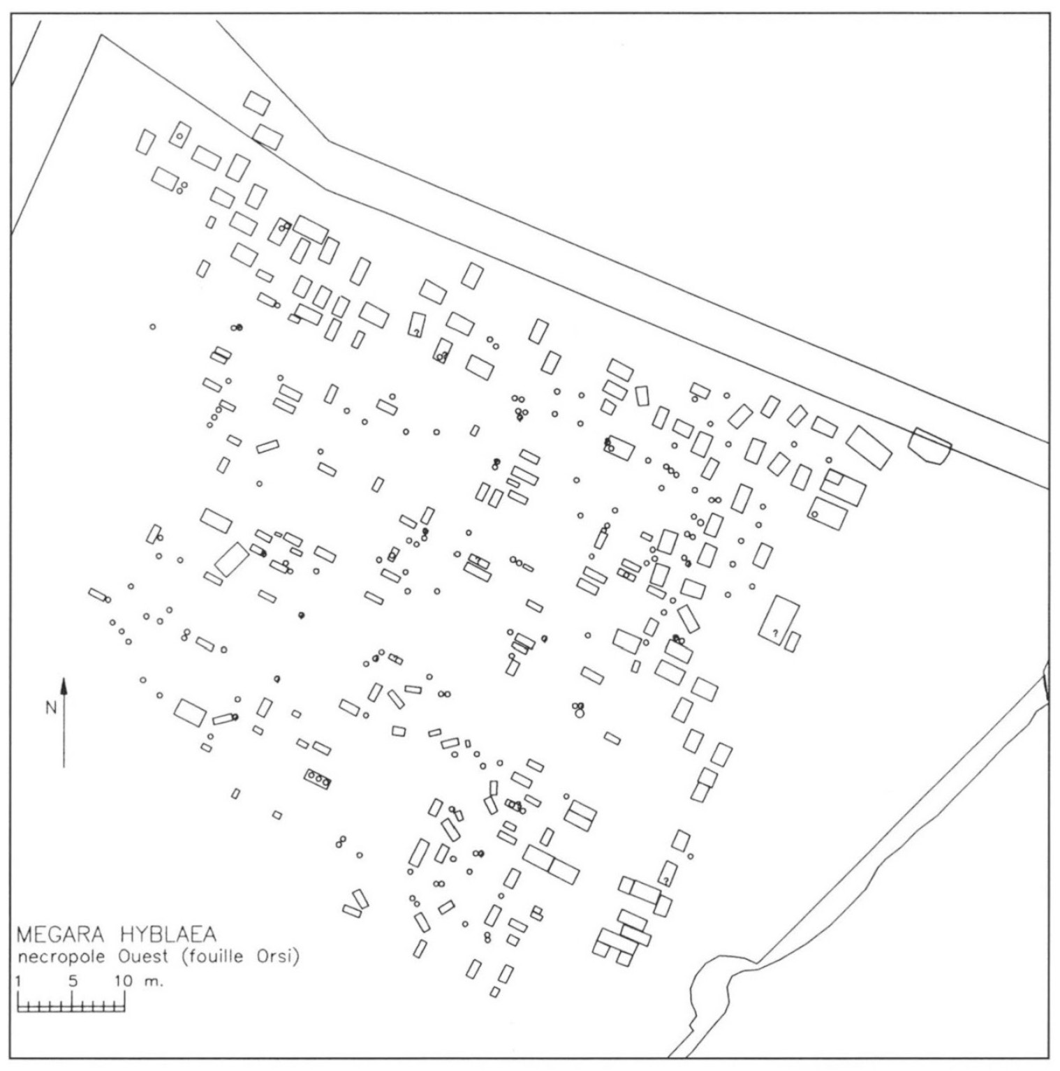 Fig. 1 – La distribution des tombes de la nécropole Ouest de Mégara Hyblaea (reconstitution réalisée par CAO).