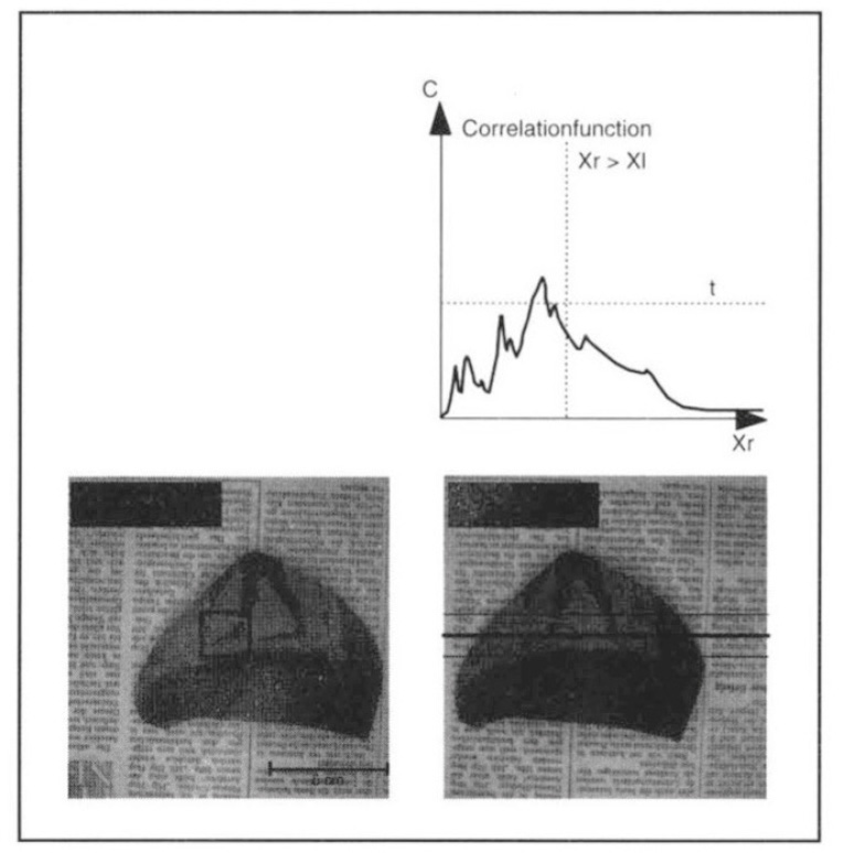 Fig. 4 – Stereo pair of a testsherd.